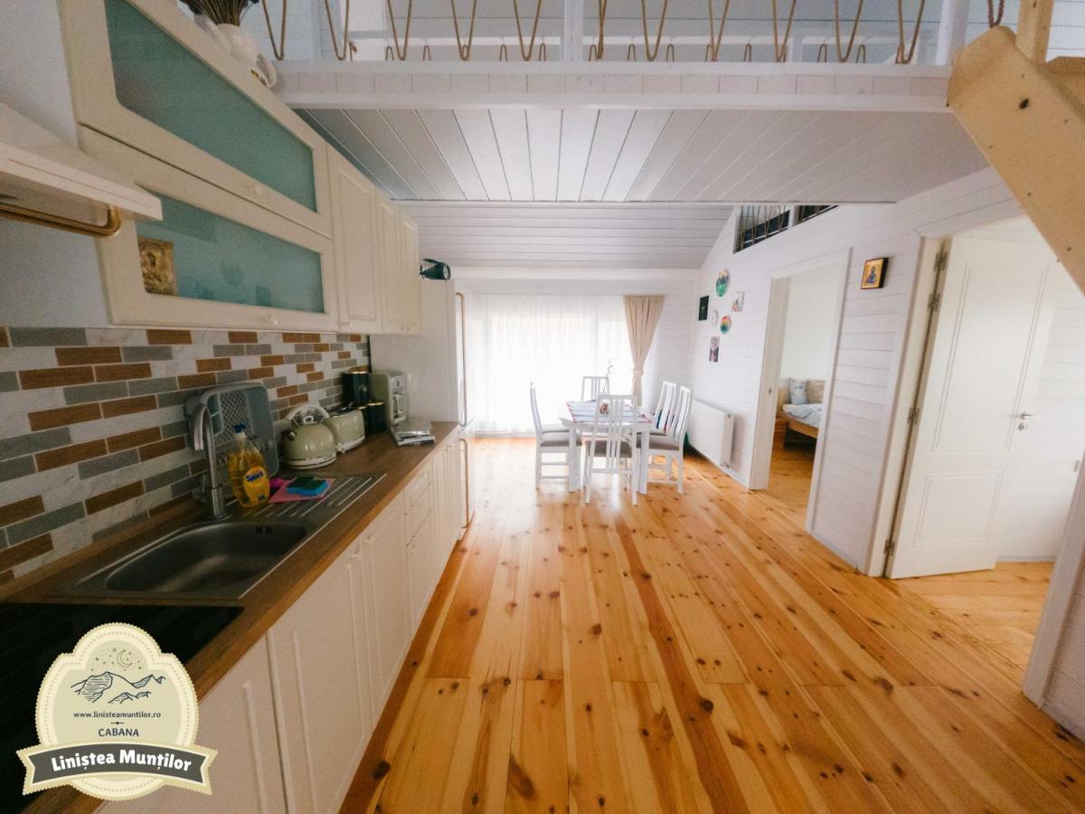 Linistea Muntilor Chalet برومباكو دو سوز المظهر الخارجي الصورة