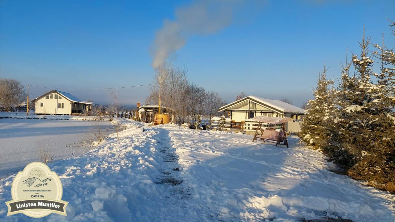 Linistea Muntilor Chalet برومباكو دو سوز المظهر الخارجي الصورة