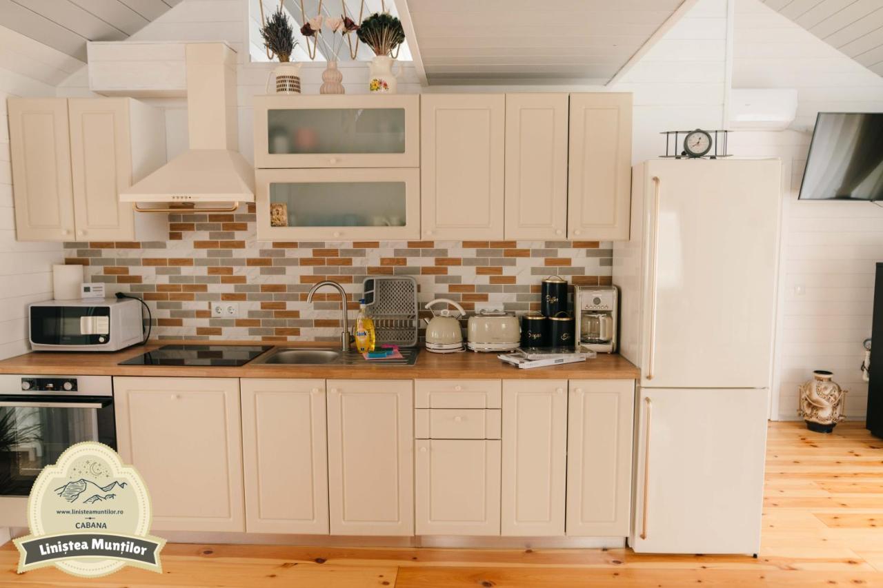 Linistea Muntilor Chalet برومباكو دو سوز المظهر الخارجي الصورة