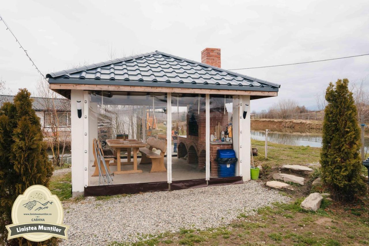 Linistea Muntilor Chalet برومباكو دو سوز المظهر الخارجي الصورة